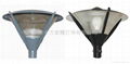 Induction Lamps - Garden Lights-TY80 1