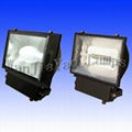 Induction lamp - floodlights-TG129 1