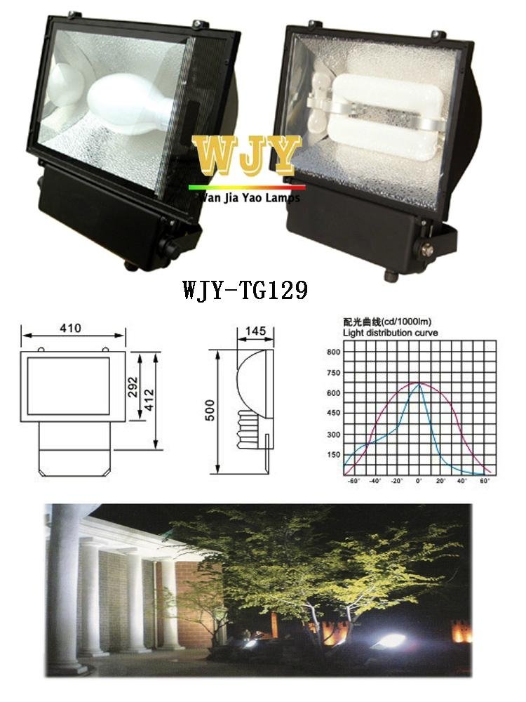 Induction lamp - floodlights-TG129 2