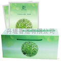 Dainty Design Citronnelle Mask (100 pcs