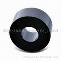 Ring NdFeB magnet of Epoxy coating with screw hole