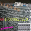 galvanized square wire mesh 2