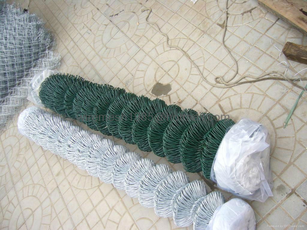 Chain Link Fencing 3