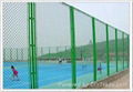 Fencing Wire Mesh