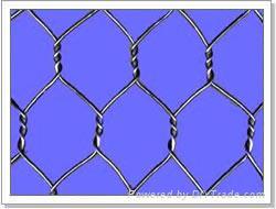  Hexagonal wire mesh 