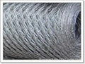  Hexagonal wire mesh  2