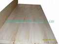 commerical plywood