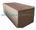 veneer plywood