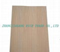 veneer plywood