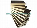 black film faced plywood