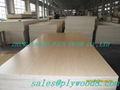 China supplier of plywood