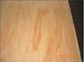 Commerical  Plywood