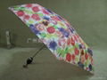 供应雨伞 4