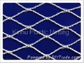 Bird Nets 1