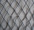 bird nets