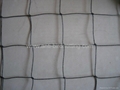 knotted bird netting