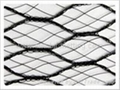 hail nets 3