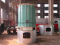 Coal-fired Organic Heat Transfer Material Heaters,Biomass Thermal Oil Boiler 6