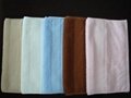 100% cotton solid and terry border beach towel 