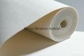 PPS Non Woven Fabric power plant