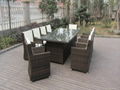 11pcs Family Rattan Wicker Dinning Set with Rectangle Table 2