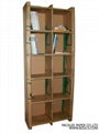paper  bookcases 2