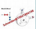 Schneider进口仪表管件 5