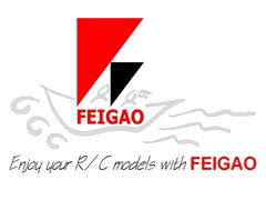 Changsha Feigao Motor Technology Co., Ltd.