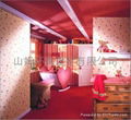 山姆內牆塗料Interior Wall Coating 4