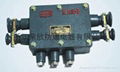 XBT-1.0-20對系列礦用隔爆型通訊電纜分線箱 1