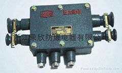 XBT-1.0-20對系列礦用隔爆型通訊電纜分線箱