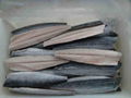 spanish mackerel fillets