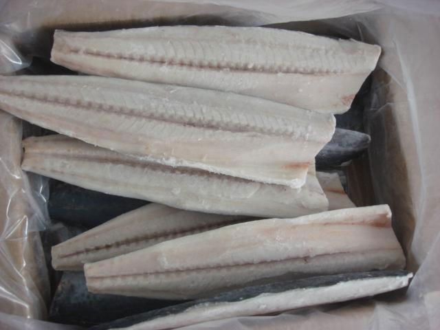 spanish mackerel fillets  2