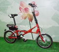 16" E-BIKE