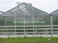 polycarbonate hollow sheet greenhouse 2