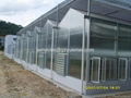 polycarbonate hollow sheet greenhouse 3