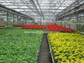 polycarbonate hollow sheet greenhouse 4