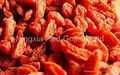 Goji Berry low Pesticide Residues  1