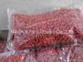 Dried Goji Berry  1