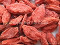 Goji Dried Berry 1