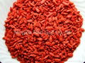 Goji Dried Berry 2