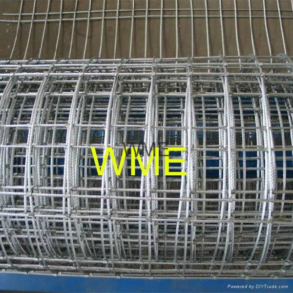 Welded Wire Mesh 2