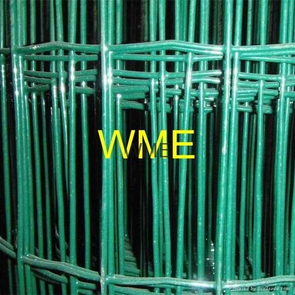 holland wire mesh 2
