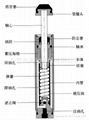 CEC（台湾御豹） 2