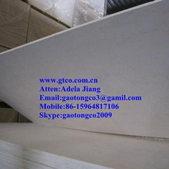 poplar plywood