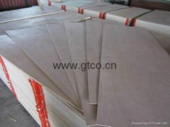 door skin plywood