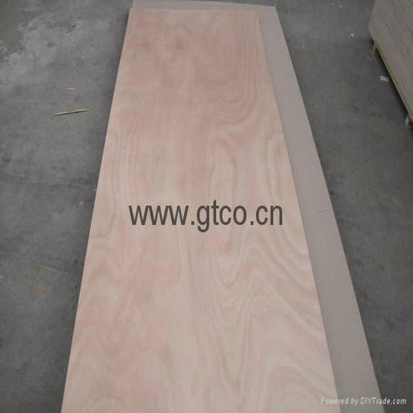 door skin plywood 2