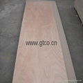 door skin plywood 2