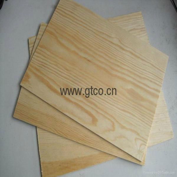 pine plywood 2