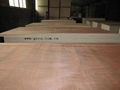 packing grade plywood 4